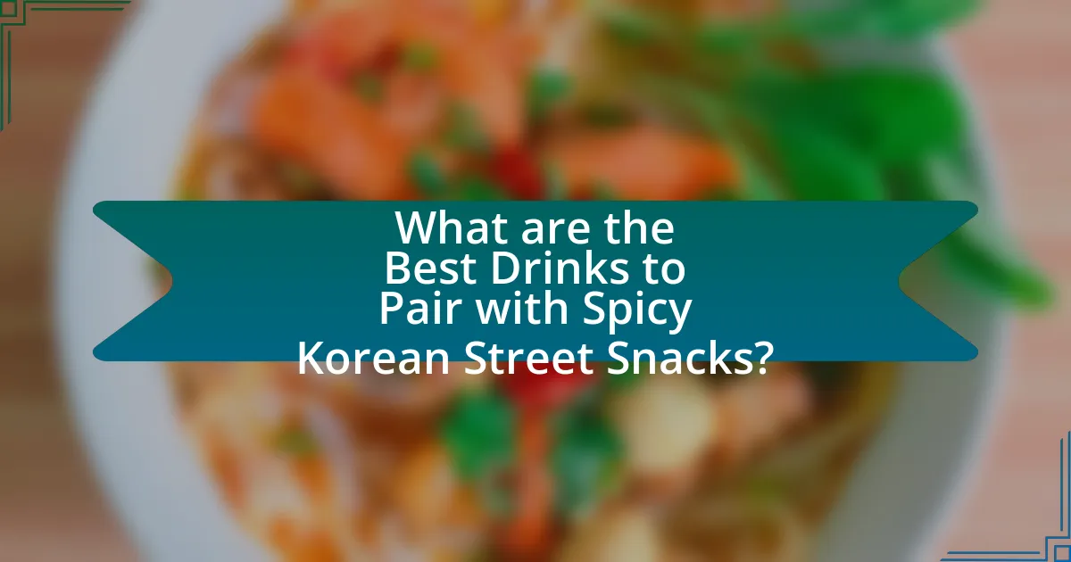 What are the Best Drinks to Pair with Spicy Korean Street Snacks?