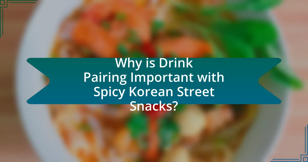 Why is Drink Pairing Important with Spicy Korean Street Snacks?